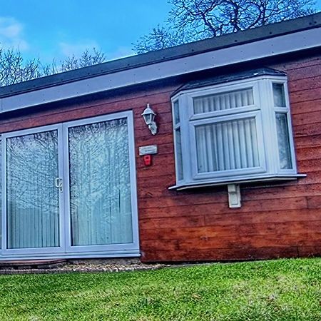 Ranger - Snowdon Cabins Holiday Let Caernarfon Caeathro Dış mekan fotoğraf